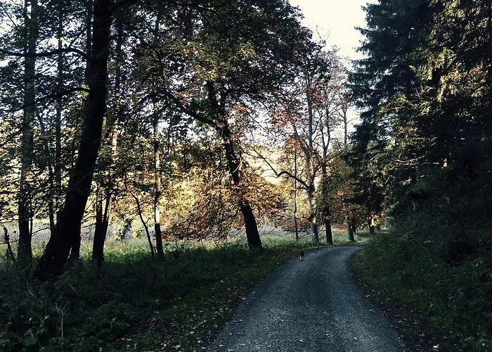 Am Hahnenkopf Сasa de vacaciones Rubeland